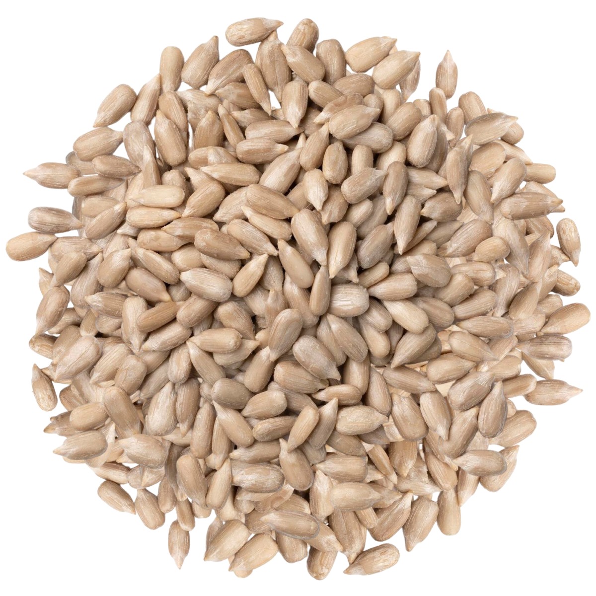 Słonecznik łuskany