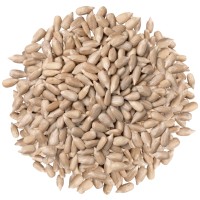 Słonecznik łuskany