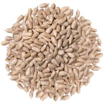 Słonecznik łuskany